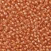 TOHO Round Seed Beads X-SEED-TR11-0963-2