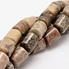 Column Natural Fossil Coral Beads Strands G-K070-02-1