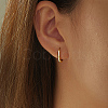Brass Hoop Earrings LL5070-2