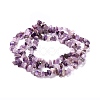 Natural Amethyst Beads Strands G-P332-07-4