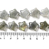 Natural Labradorite Beads Strands G-NH0005-020-5
