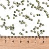 TOHO Round Seed Beads SEED-JPTR08-0244-4