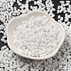 Baking Paint Glass Seed Beads SEED-K009-01A-25-2