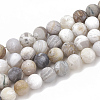 Natural Bamboo Leaf Agate Beads Strands G-T106-030-1