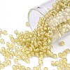 TOHO Round Seed Beads SEED-JPTR08-0948-1