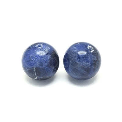 Natural Sodalite Beads G-F222-39A-14mm-1