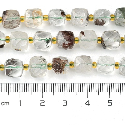 Natural Green Lodolite Quartz/Garden Quartz Beads Strands G-Q010-A18-01-1