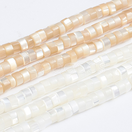 Natural Trochid Shell/Trochus Shell Beads Strands SSHEL-L016-13-1