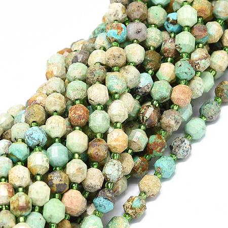 Natural Turquoise Beads Strands G-O201B-66A-1