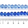 Transparent Painted Glass Beads Strands DGLA-A034-T6mm-A01-3