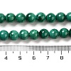 Natural Malachite Beads Strands G-F571-27A1-7mm-4
