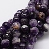 Faceted Round Natural Chevron Amethyst Bead Strands G-L437-22-10mm-1