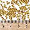 TOHO Round Seed Beads SEED-XTR11-0744-4
