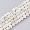 Natural White Moonstone Beads Strands G-T107-13-1