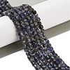 Natural Iolite Beads Strands G-H042-A52-02-2