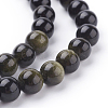 Natural Golden Sheen Obsidian Beads Strands G-C076-8mm-5-3