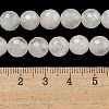 Natural Quartz Crystal Beads Strands G-E571-A11-02-5