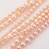 Natural Cultured Freshwater Pearl Graduated Beads Strands PEAR-G007-05B-1