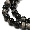 Natural Black Fossil Coral Beads Strands G-R494-A04-03-3