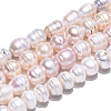 Natural Cultured Freshwater Pearl Beads Strands PEAR-N012-10E-3