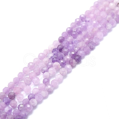 Natural Lepidolite/Purple Mica Stone Beads Strands G-P457-A02-01-1