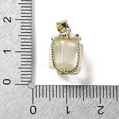 Natural Citrine Gift Box Charms G-P523-01G-02-1