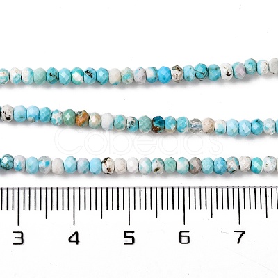 Natural Howlite Beads Strands G-H025-03B-05-1