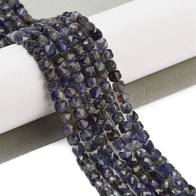 Natural Iolite Beads Strands G-H042-A52-02-1