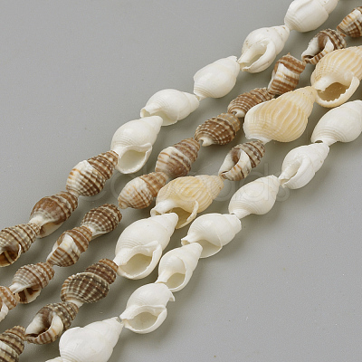 Natural Sea Shell Beads Strands X-SSHEL-R043-05-1