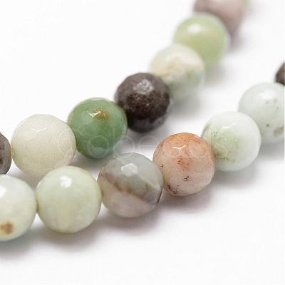 Natural Flower Amazonite Beads Strands G-D840-24-6mm-1