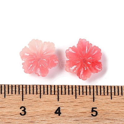 Synthetic Shell Dyed Beads SHEL-C007-04B-1