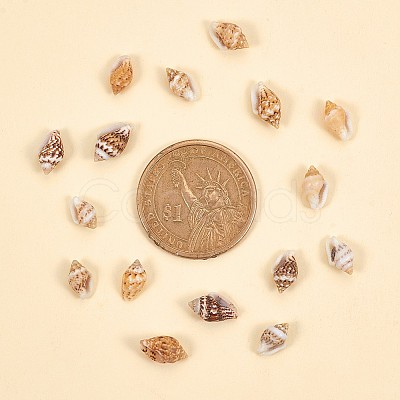 No Hole Spiral Shell Beads SSHEL-YW0001-01-1