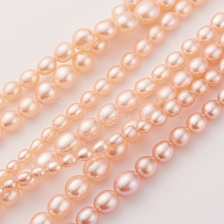 Natural Cultured Freshwater Pearl Graduated Beads Strands PEAR-G007-05B-1