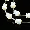 Natural Trochid Shell/Trochus Shell Beads Strands SSHEL-N032-26-3