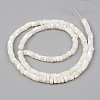 Natural Trochid Shell/Trochus Shell Beads Strands X-SHEL-R049-024-2