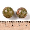 Natural Unakite No Hole Sphere Beads G-K353-04D-05-3