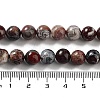 Natural Mexican Red Laguna Lace Agate Round Beads Strands G-NH0005-A31-03-5