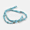 Natural Magnesite Beads Strands TURQ-G101-03-3