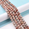 Natural Gemstone Beads Strands G-D481-10-2
