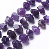 Natural Amethyst Beads Strands G-P434-10A-2