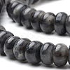 Natural Larvikite Beads Strands G-S272-13-3