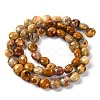 Natural Crazy Agate Beads Strands G-T047-A02-03-3