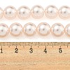 Glass Pearl Beads Strands HY-G002-01E-03-5