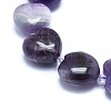 Natural Amethyst Beads Strands G-E530-20B-3