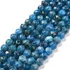 Natural Apatite Beads Strands G-K323-13-1