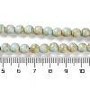 Natural Rainbow Alashan Agate Beads Strands G-NH0022-A-01-6