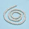 Natural Cultured Freshwater Pearl Beads Strands PEAR-F018-13D-01-3