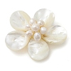 Natural Pearl & Shell Links Connector Charms PALLOY-JF02636-01-3