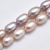 Grade AAA Natural Cultured Freshwater Pearl Beads Strands PEAR-F007-76-1