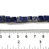 Natural Sodalite Beads Strands G-B078-K01-01-5